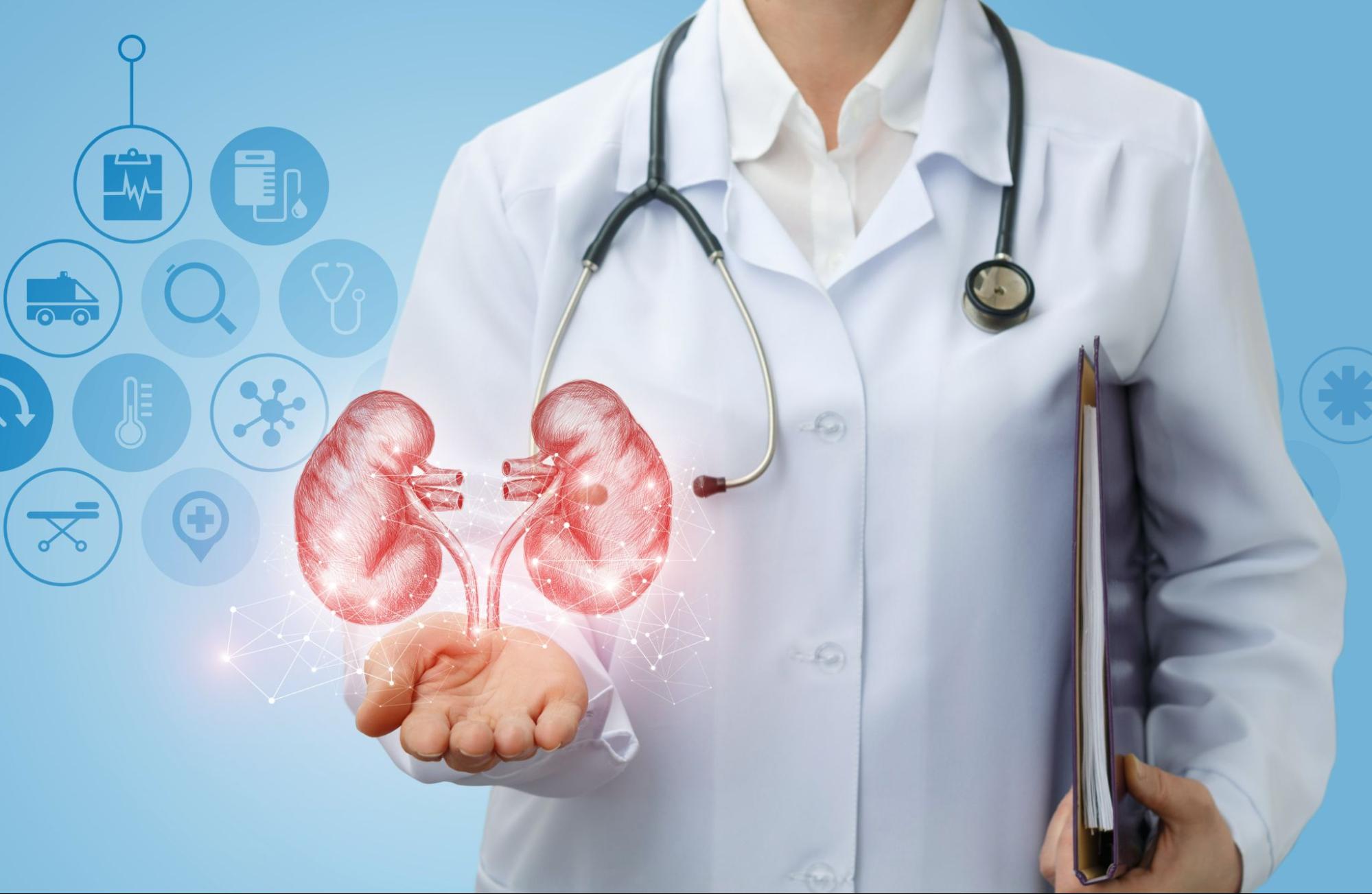 Understanding Kidney Function Test (KFT) Procedure, Types, and Purpose